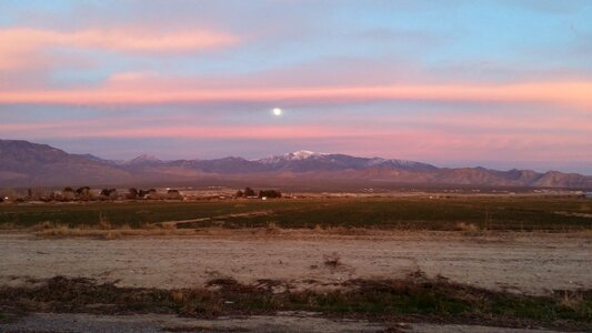 Desert farm landscape