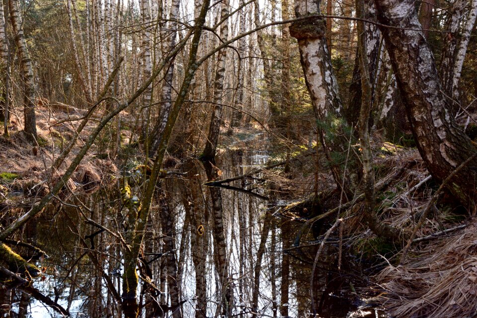 Nature nature reserve nature conservation