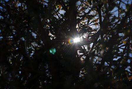 Landscape sunlight sky photo