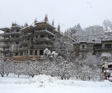 Winter cold white