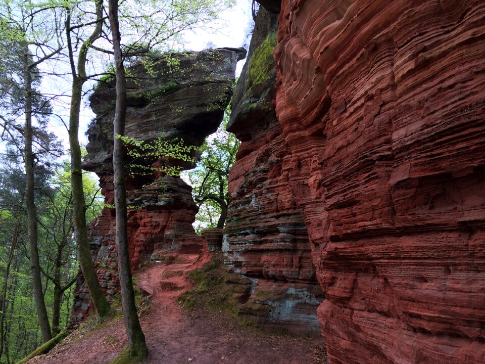 Palatinate red red sandstone