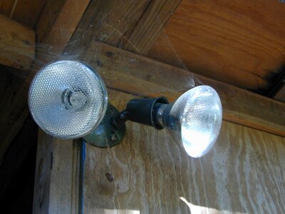 Cobweb wood wooden