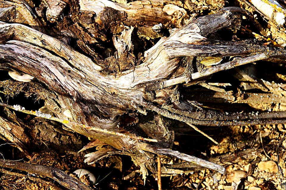 Background pallets dead wood