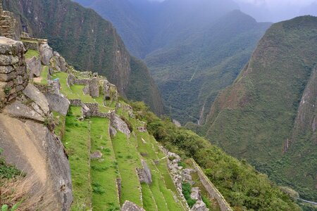 Nature vegetation path