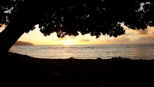 Landscape the sea the evening sun