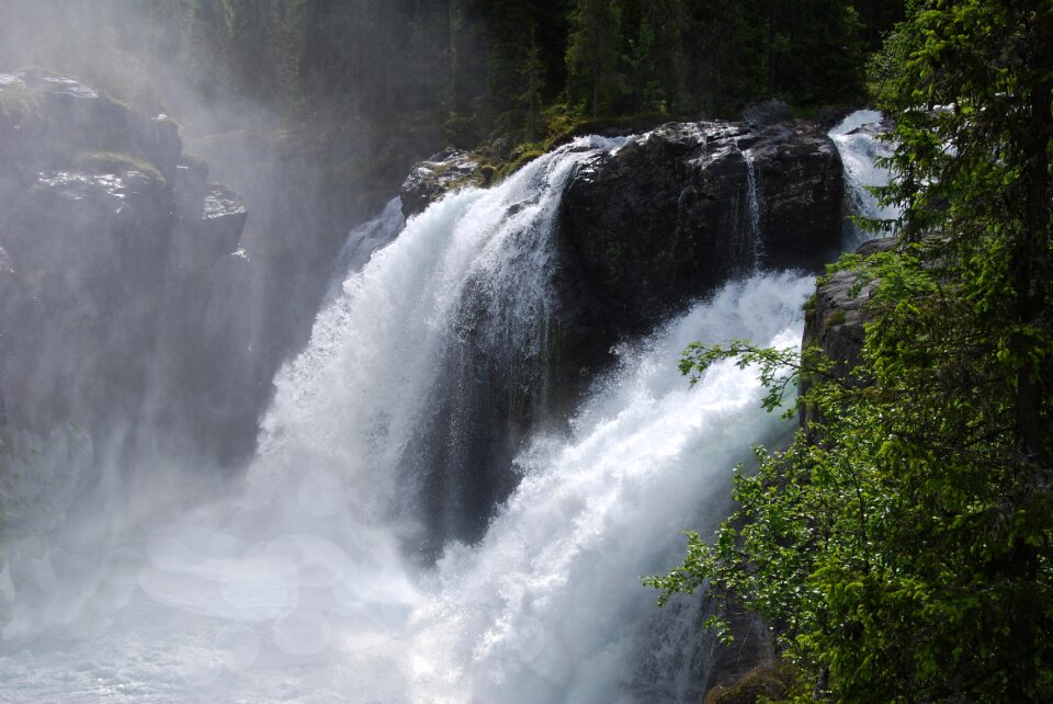 Nature river stream