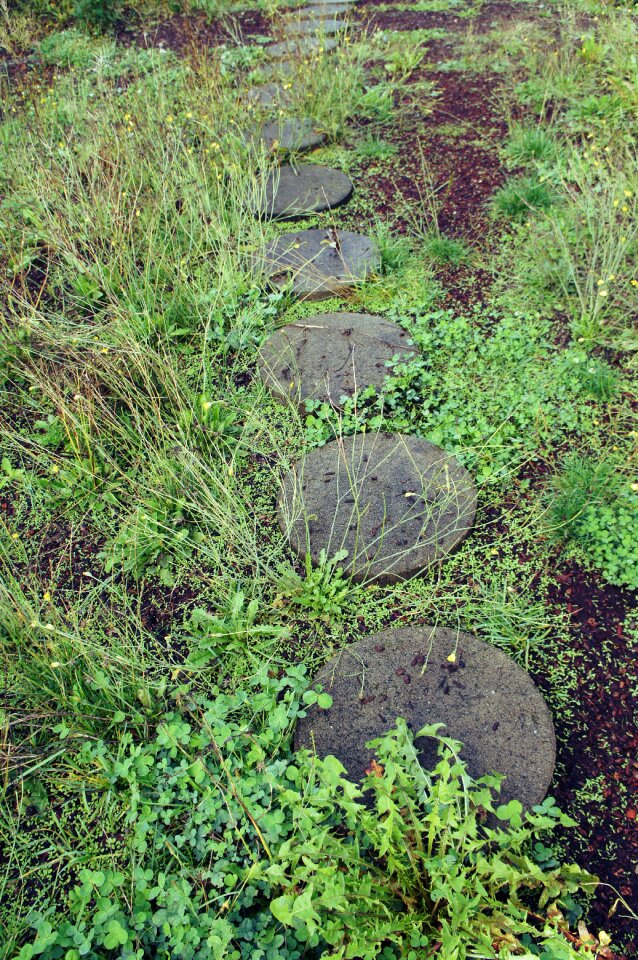 Cement round circles photo