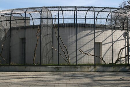 Imprisoned captivity grid photo