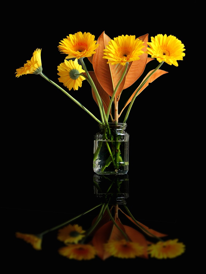 Plant black bouquet