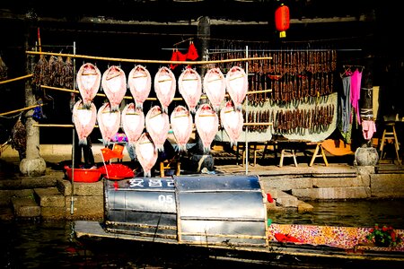 The new year harvest jiangnan