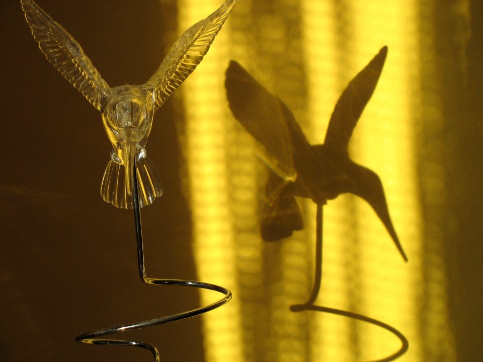 Artificial shadow hummingbird