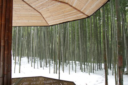 Belvedere winter snow