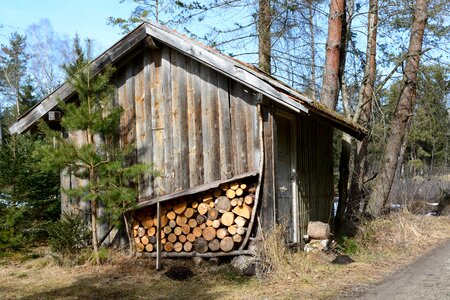 Nature hut log cabin photo