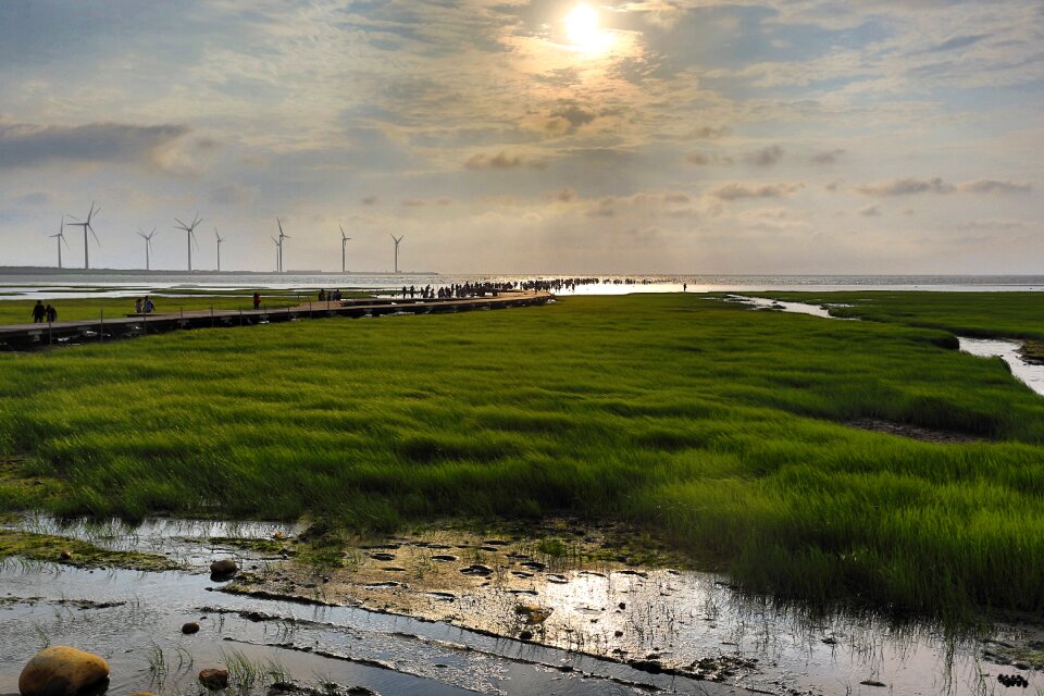 Green the evening sun sea