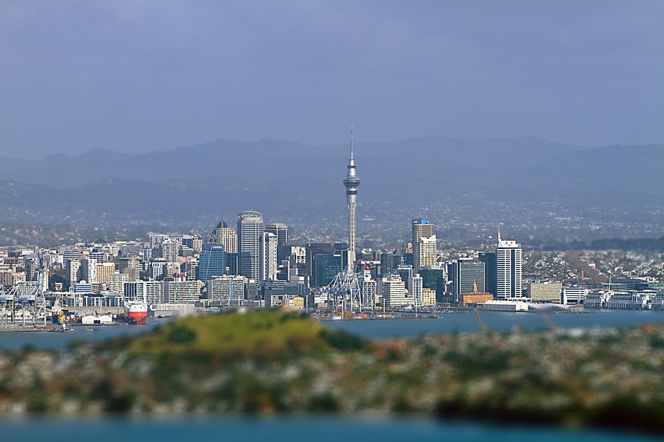 City cityscape tower