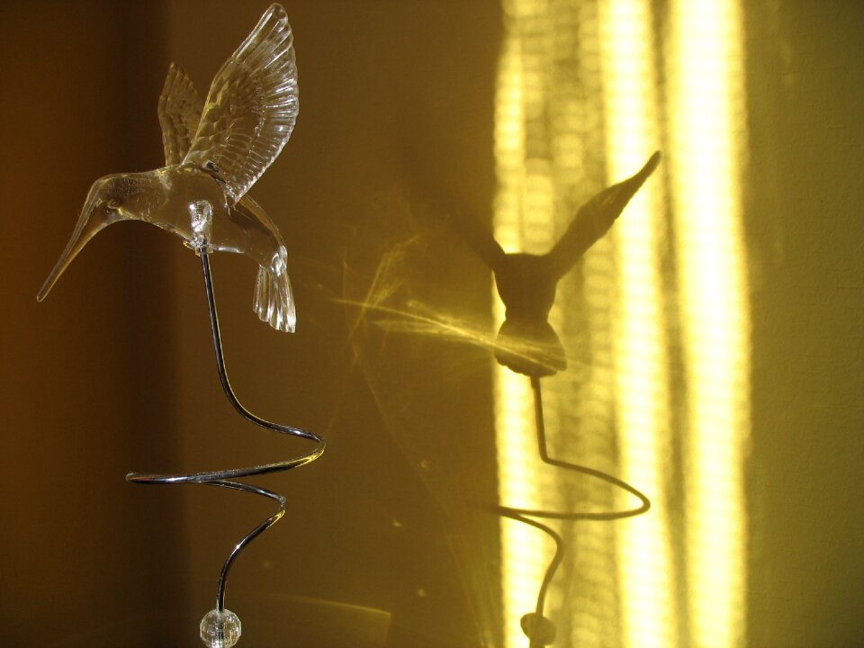 Artificial bird shadow