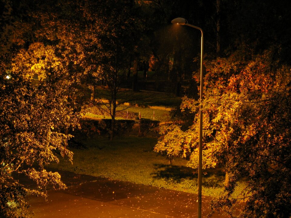 Backyard lantern night