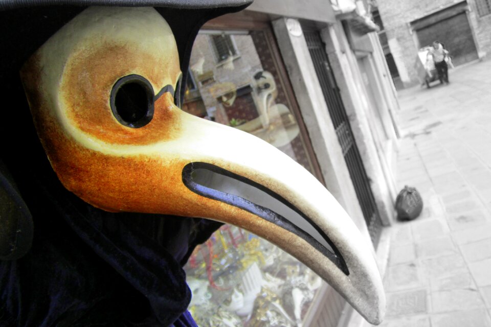 Decoration the mask venetian