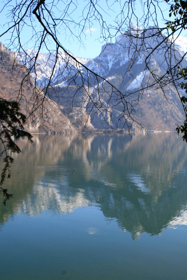 Nature trees landscape
