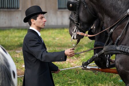 Horse carrozza shooting