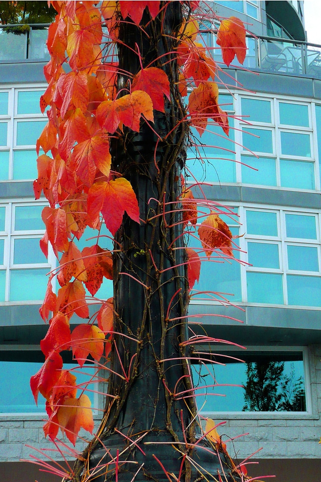 Fall autumn building photo