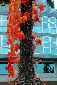 Fall autumn building