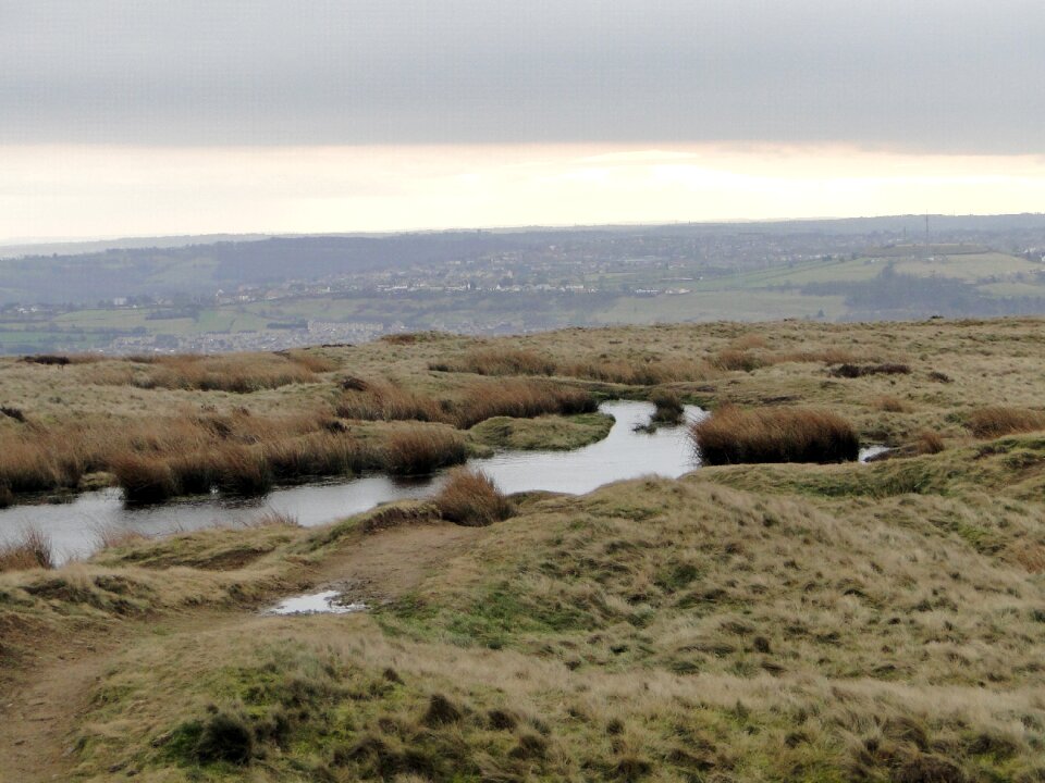 Nature reserve nature swamp