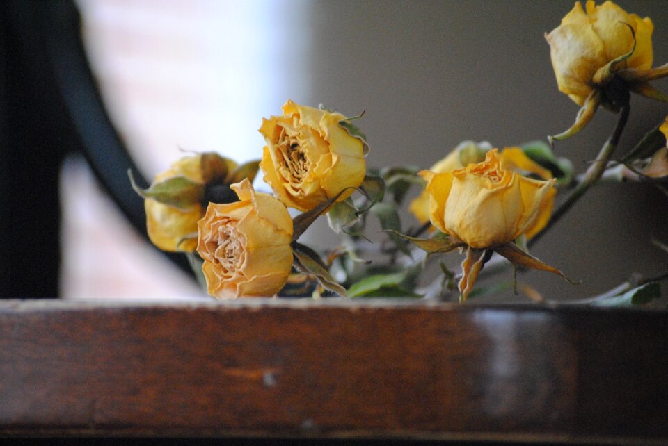 Floral vintage death