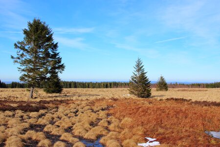 Moor nature nature reserve