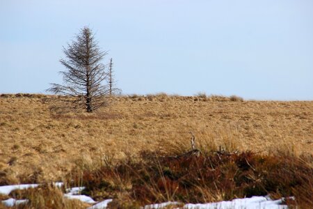 Moor nature nature reserve