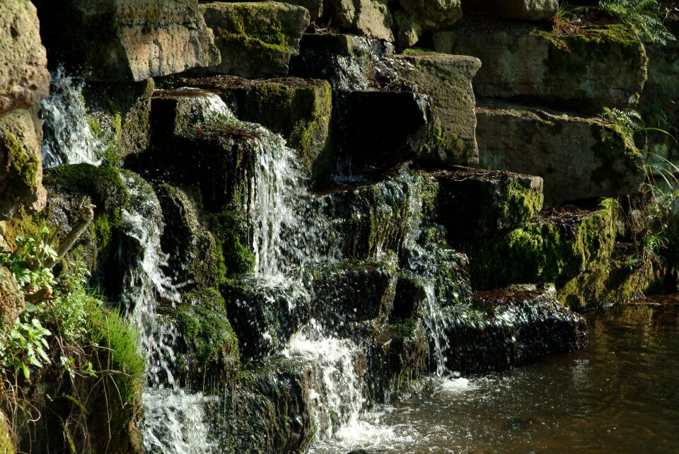 Splash flow murmur
