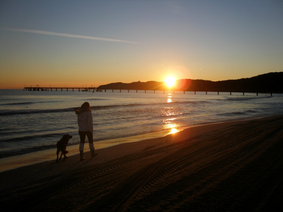 Walk dog beach photo