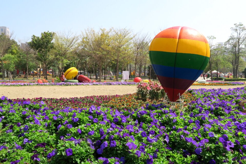 Tainan's flowers offering hot qi ball duckweed farm park