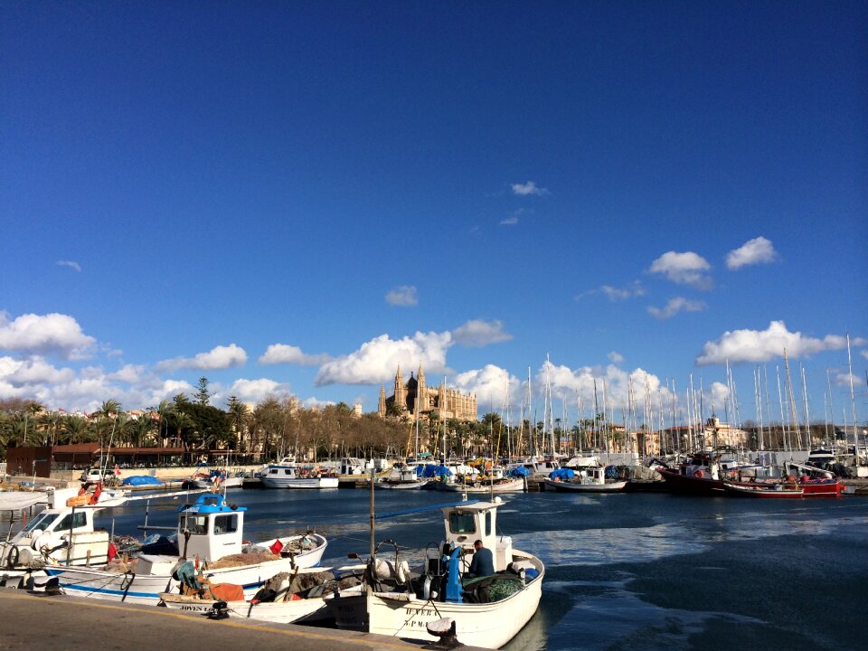 Mediterranean sea palma boats