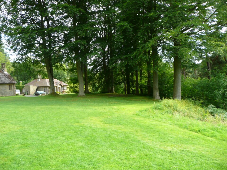Green nature natural