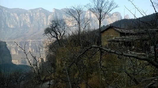 Mountain village mountain tree