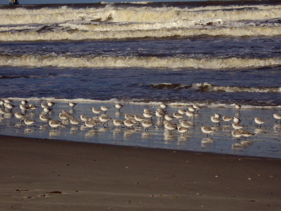 Ameland beach beautiful beach