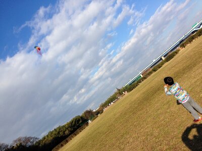 Kite lawn children photo