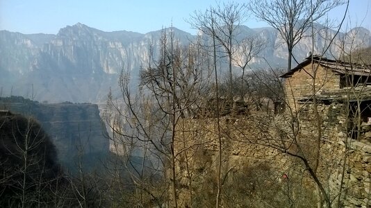 Mountain village mountain tree