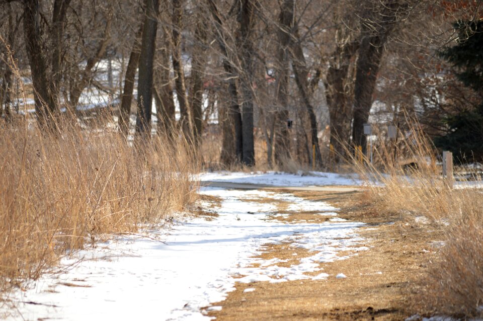 Snow prairie rural