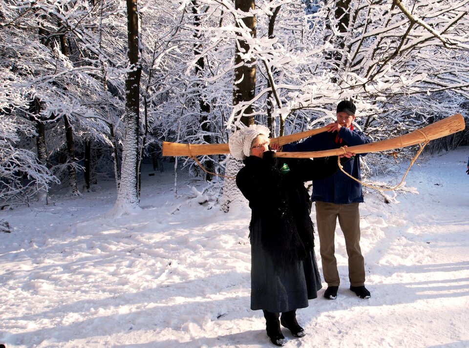 Snowy white branch