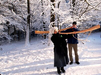 Snowy white branch