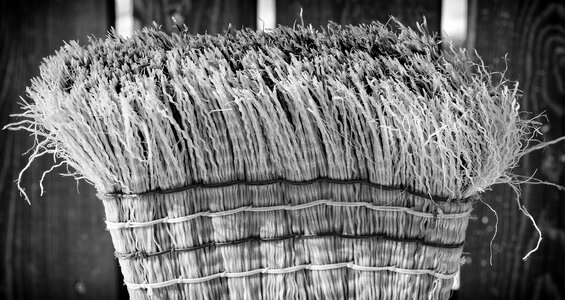 Cleanliness bristles close up