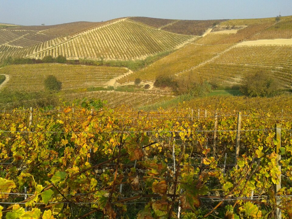Langhe piemonte vintage
