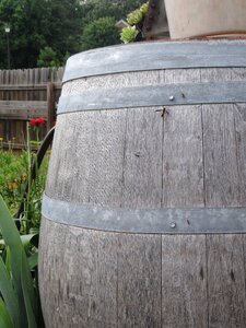 Wooden barrel garden