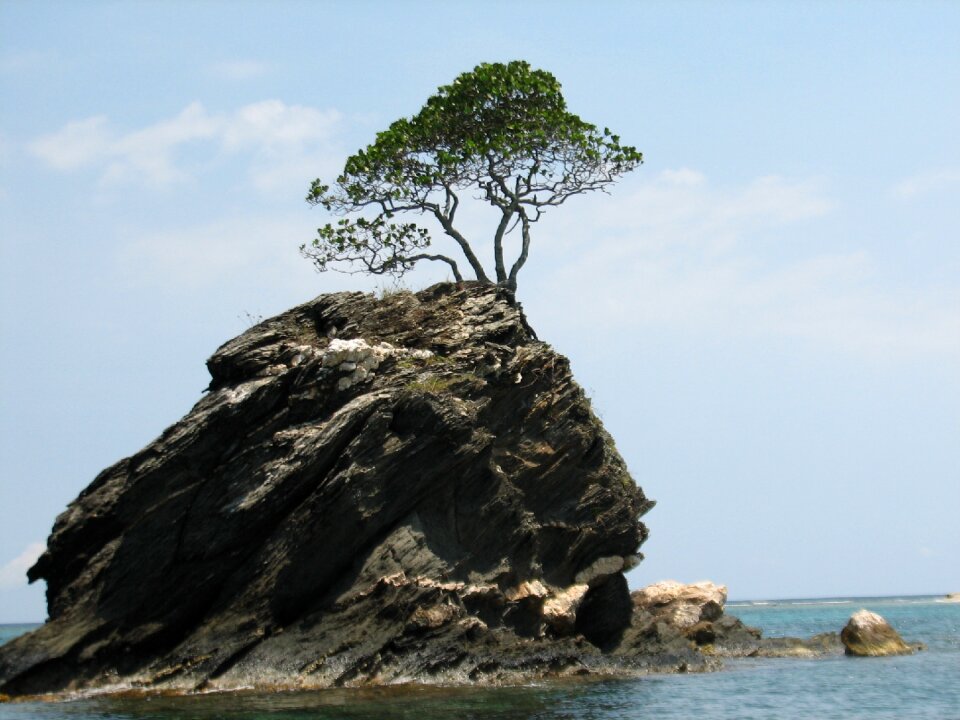 Sea blue sky growth