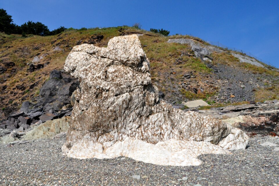 Small global island fossil rock