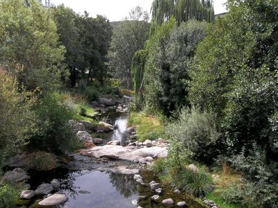 River nature landscape