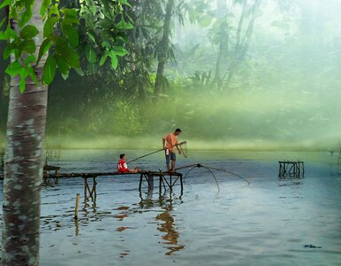Forest green river