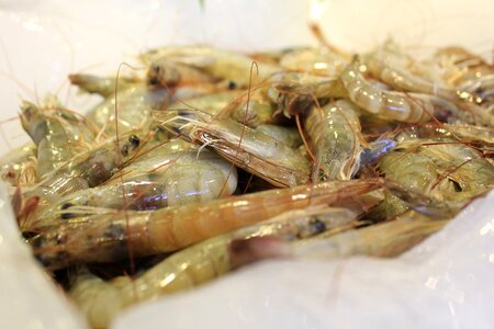 Delicious snack oriental food